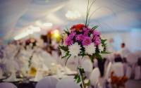 What is like to be an Event Coordinator! What is like to be an Event Coordinator!